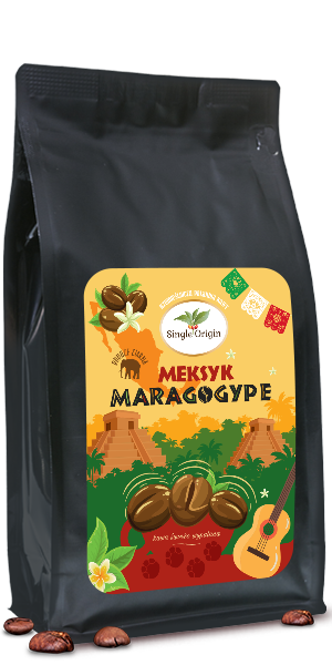 mexico-maragogype-coffee mexico maragogype coffee