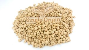 raw coffee beans single origin